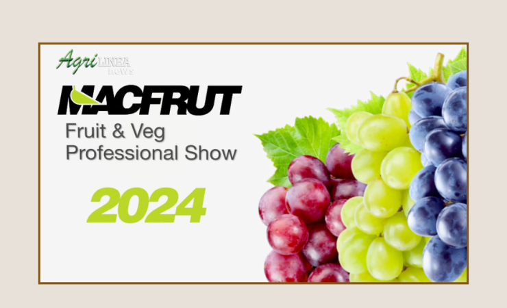 MACFRUT BUSINESS TRIP